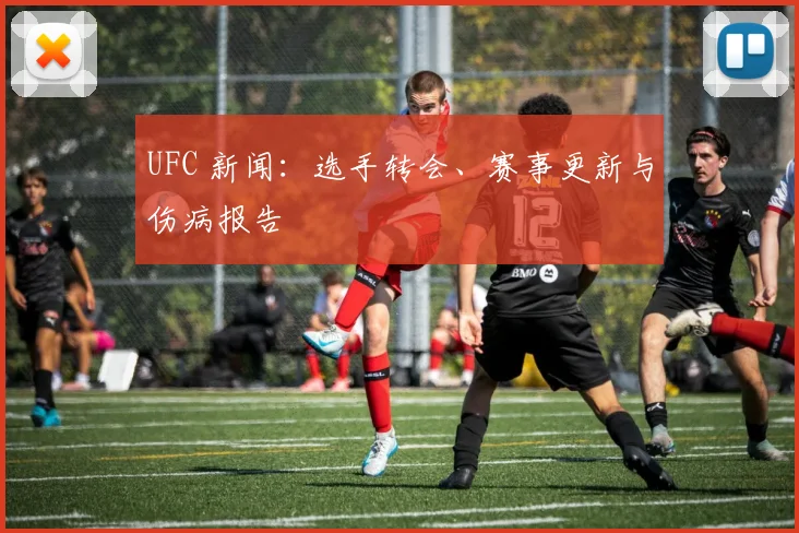 UFC 新闻:选手转会、赛事更新与伤病报告
